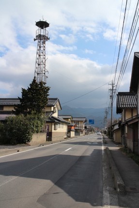 IMG_4290.jpg