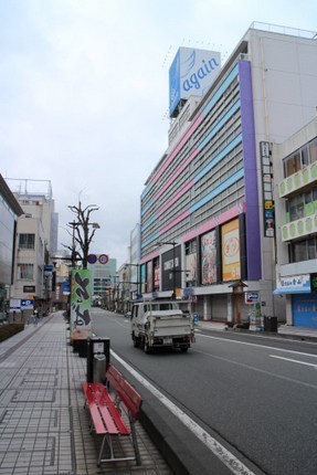 IMG_4391.jpg