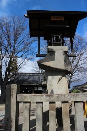 IMG_4437.jpg