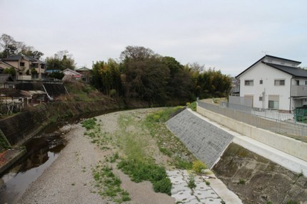 IMG_4875.jpg