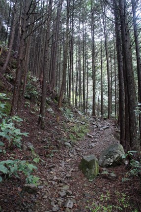 IMG_4983.jpg