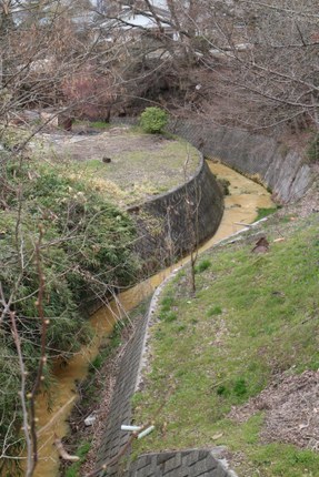 IMG_5227.jpg