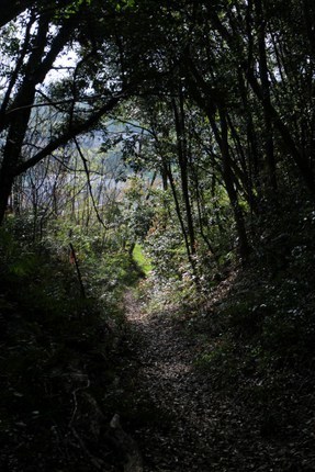 IMG_5771.JPG