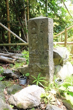 IMG_5872.jpg