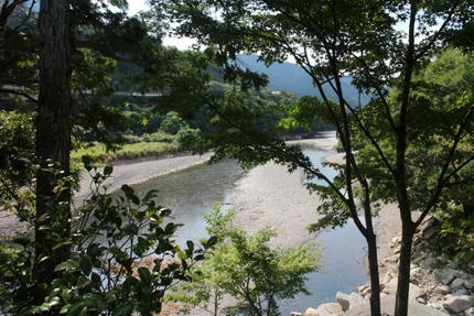 IMG_6600.jpg