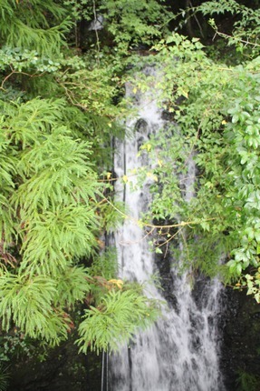 IMG_6825.jpg