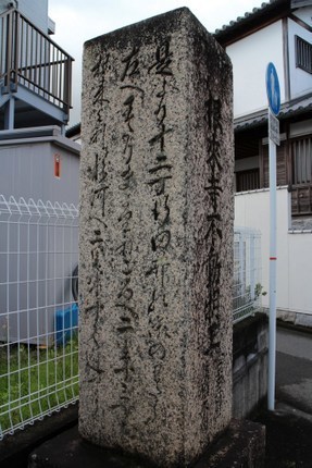 IMG_7156.jpg