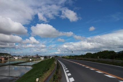 IMG_7167.jpg