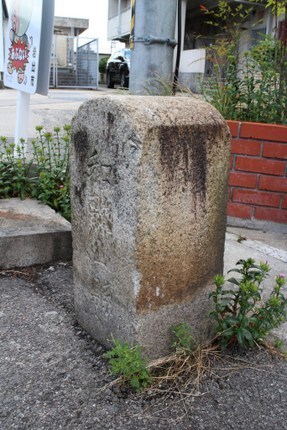 IMG_7233.jpg