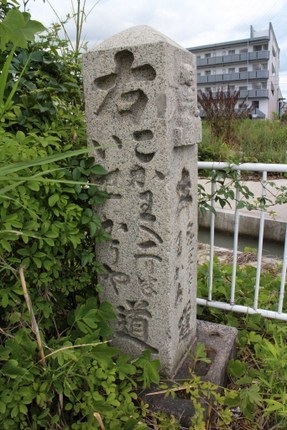 IMG_7243.jpg