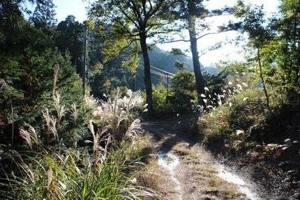 IMG_7463.jpg