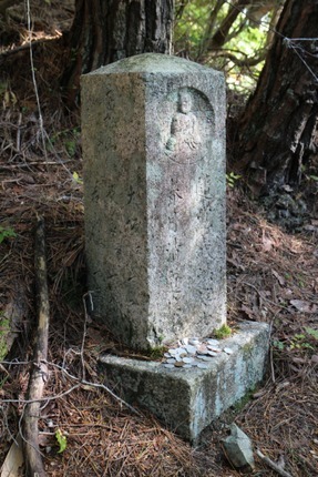 IMG_7489.jpg