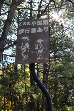 IMG_7525.jpg