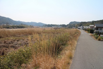 IMG_7880.jpg