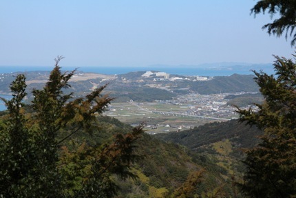 IMG_7952.jpg