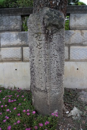 IMG_7974.JPG