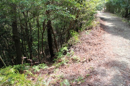 IMG_7997.jpg