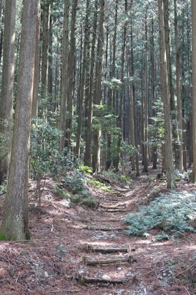 IMG_8058.jpg