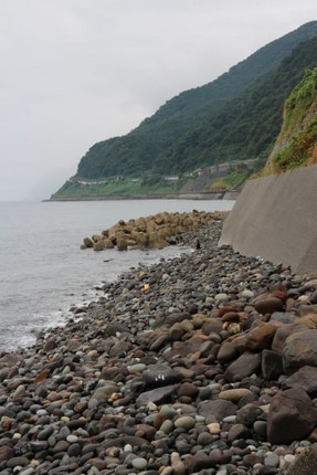 IMG_8135.jpg