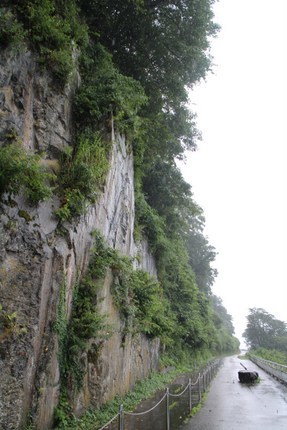 IMG_8162.jpg