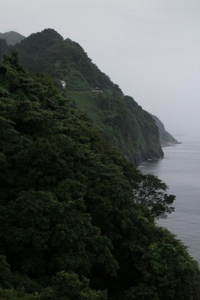 IMG_8169.jpg