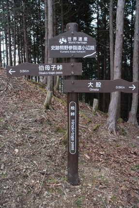 IMG_8250.jpg