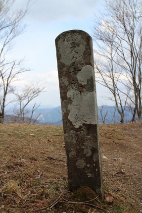 IMG_8269.jpg