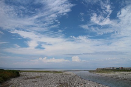 IMG_8270.jpg