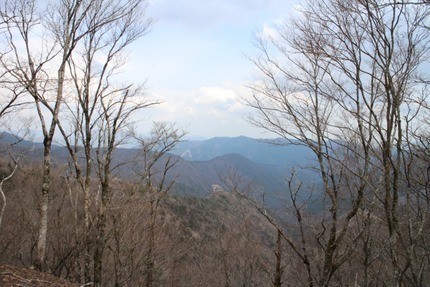 IMG_8271.jpg