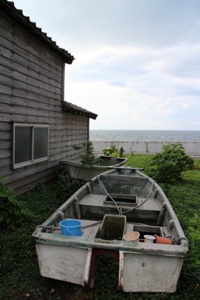 IMG_8351.jpg