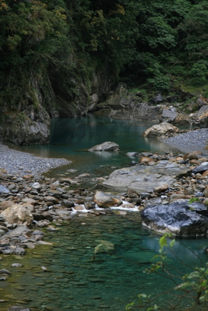 IMG_8358.JPG