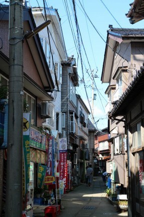 IMG_8528.jpg