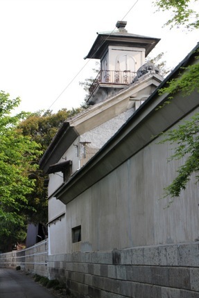 IMG_8559.jpg