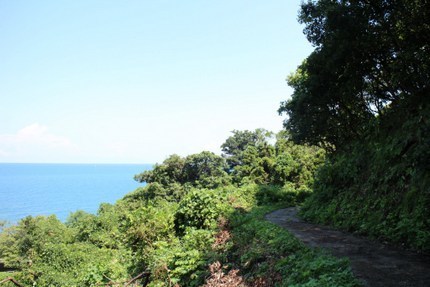 IMG_8619.jpg