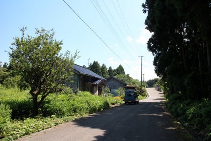 IMG_8633.jpg