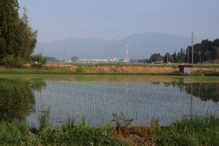 IMG_8795.jpg