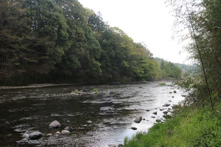 IMG_8835.jpg