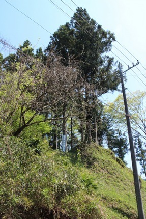 IMG_8974.jpg
