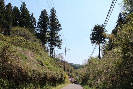 IMG_8976.jpg