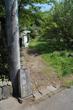 IMG_8987.jpg