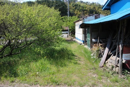 IMG_8989.jpg