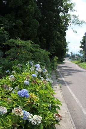 IMG_9049.jpg