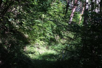 IMG_9171.JPG