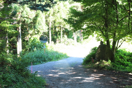 IMG_9176.JPG