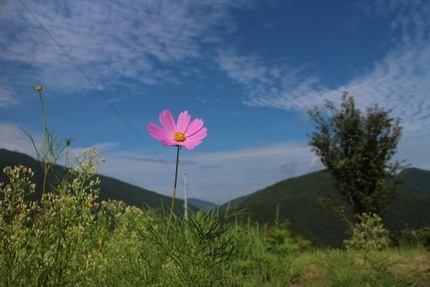 IMG_9272.jpg