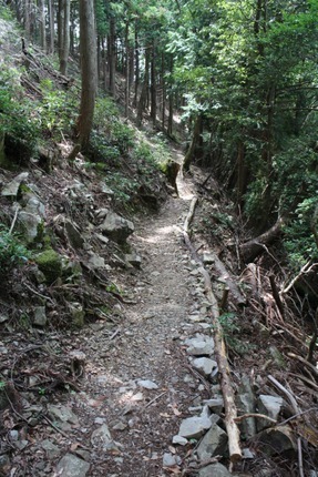IMG_9323.jpg