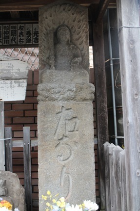 IMG_9515.jpg