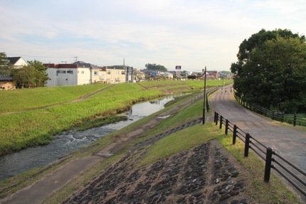 IMG_9750.jpg