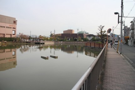 IMG_9803.jpg