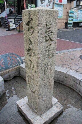 IMG_9807.jpg
